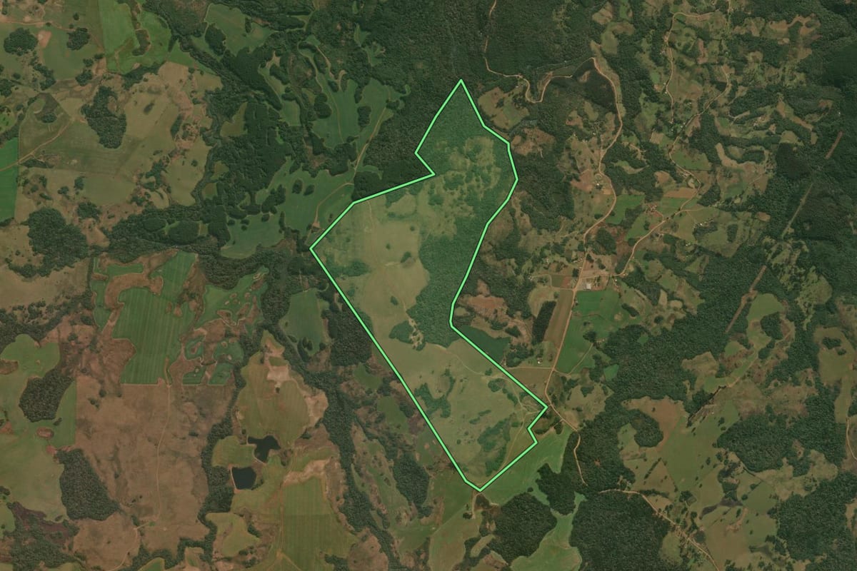 Imagem de satélite do imóvel rural em Pinhal da Serra (RS), com o contorno declarado no CAR desenhado por cima.