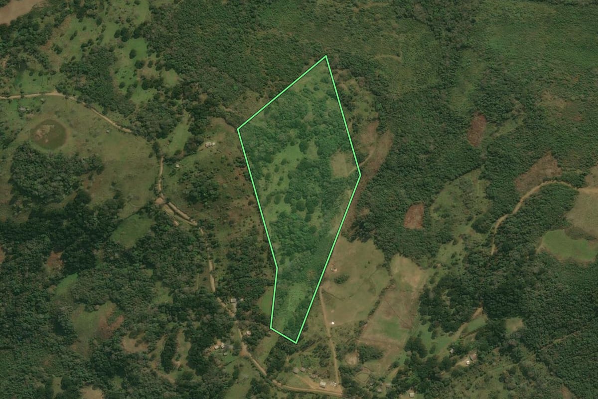 Imagem de satélite do imóvel rural em Pinhal da Serra (RS), com o contorno declarado no CAR desenhado por cima.