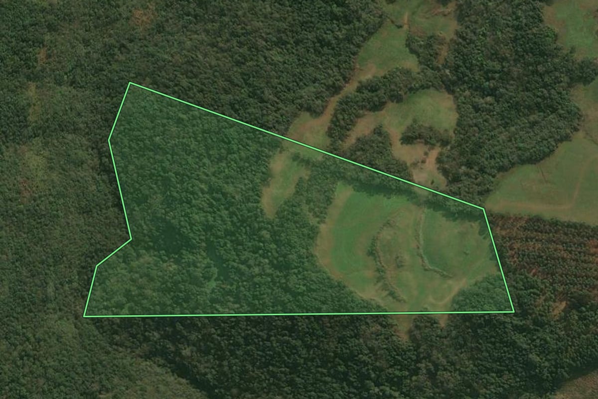 Imagem de satélite do imóvel rural em Pinhal da Serra (RS), com o contorno declarado no CAR desenhado por cima.