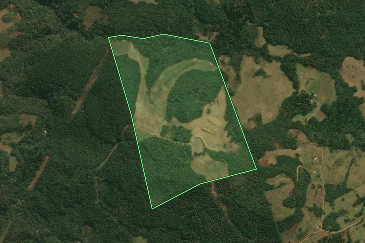 Imagem de satélite do imóvel rural em Pinhal da Serra (RS), com o contorno declarado no CAR desenhado por cima.