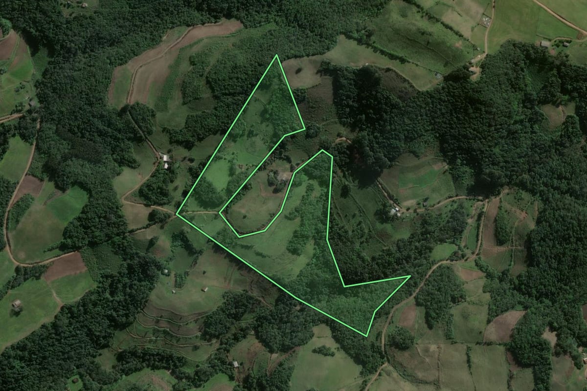 Imagem de satélite do imóvel rural em Pinhal Grande (RS), com o contorno declarado no CAR desenhado por cima.
