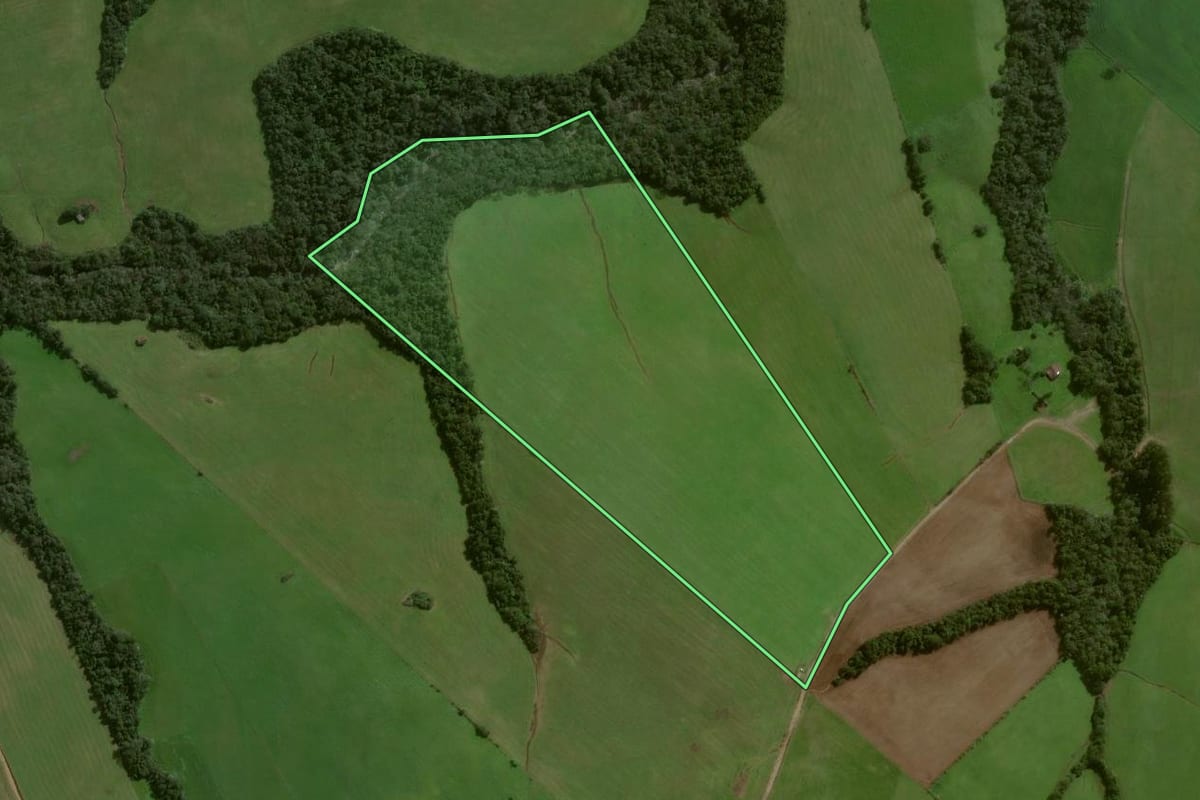 Imagem de satélite do imóvel rural em Pinhal Grande (RS), com o contorno declarado no CAR desenhado por cima.