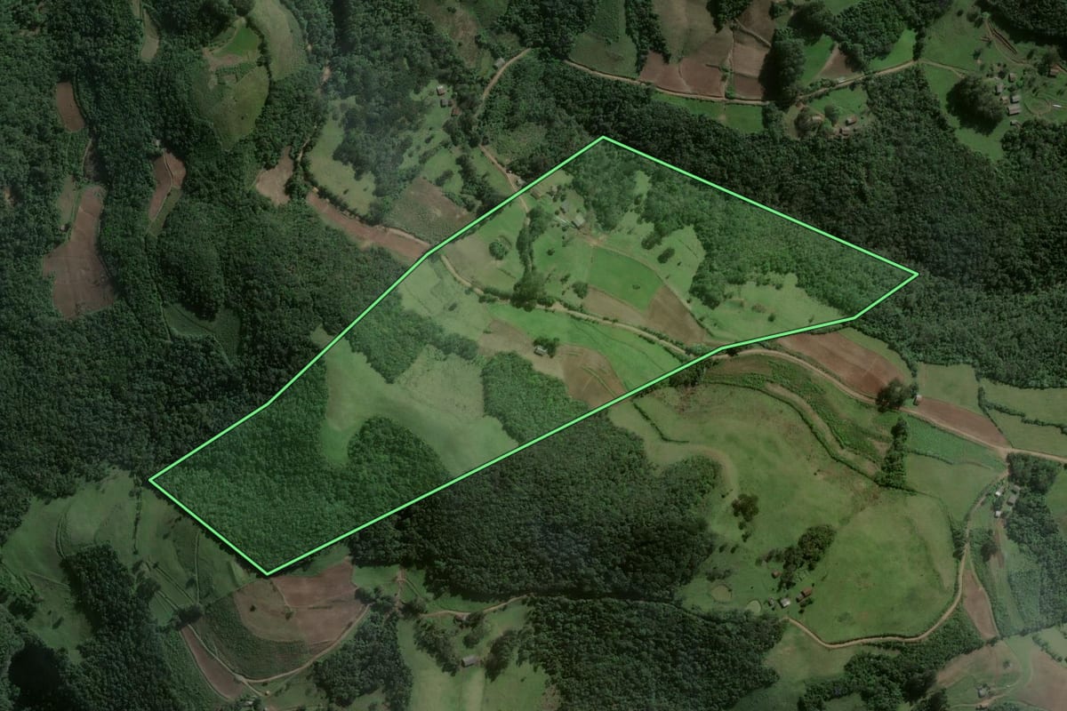 Imagem de satélite do imóvel rural em Pinhal Grande (RS), com o contorno declarado no CAR desenhado por cima.