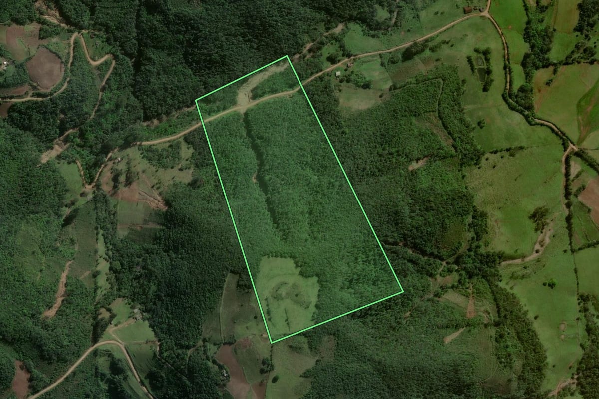 Imagem de satélite do imóvel rural em Pinhal Grande (RS), com o contorno declarado no CAR desenhado por cima.