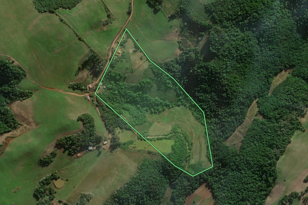 Imagem de satélite do imóvel rural em Pinhal Grande (RS), com o contorno declarado no CAR desenhado por cima.