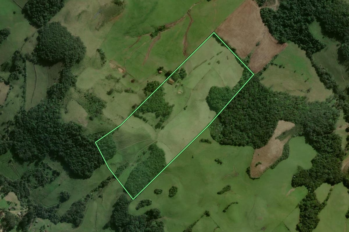 Imagem de satélite do imóvel rural em Pinhal Grande (RS), com o contorno declarado no CAR desenhado por cima.