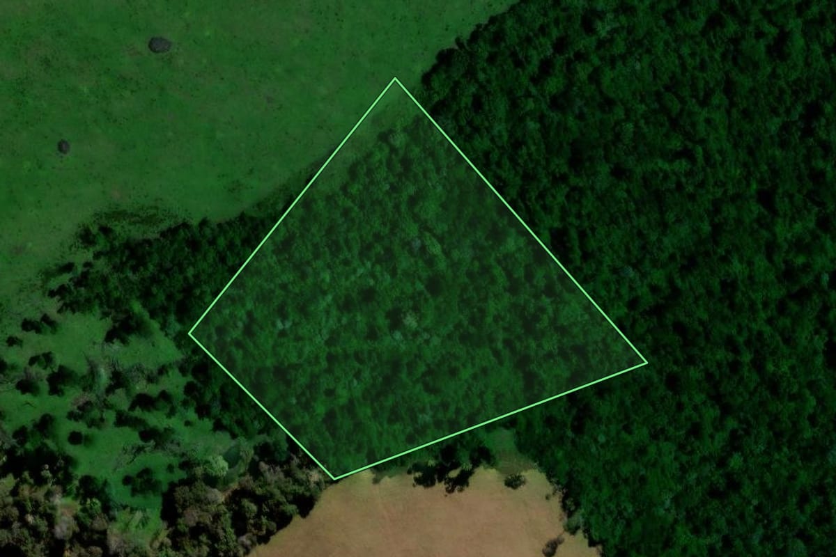 Imagem de satélite do imóvel rural em Pinhal Grande (RS), com o contorno declarado no CAR desenhado por cima.