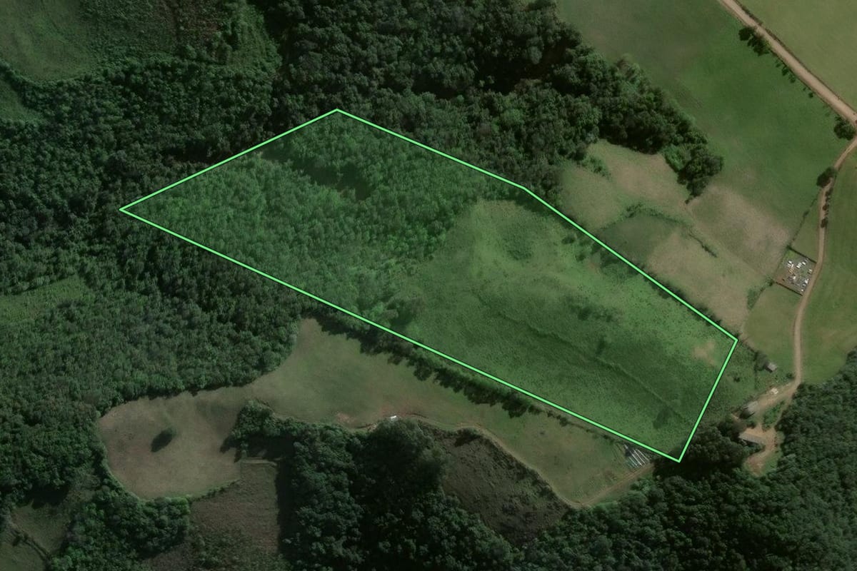 Imagem de satélite do imóvel rural em Pinhal Grande (RS), com o contorno declarado no CAR desenhado por cima.