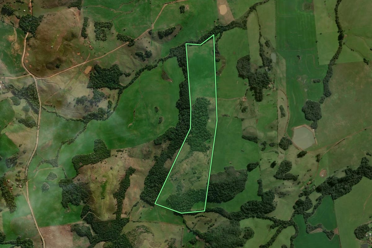 Imagem de satélite do imóvel rural em Pinhal Grande (RS), com o contorno declarado no CAR desenhado por cima.