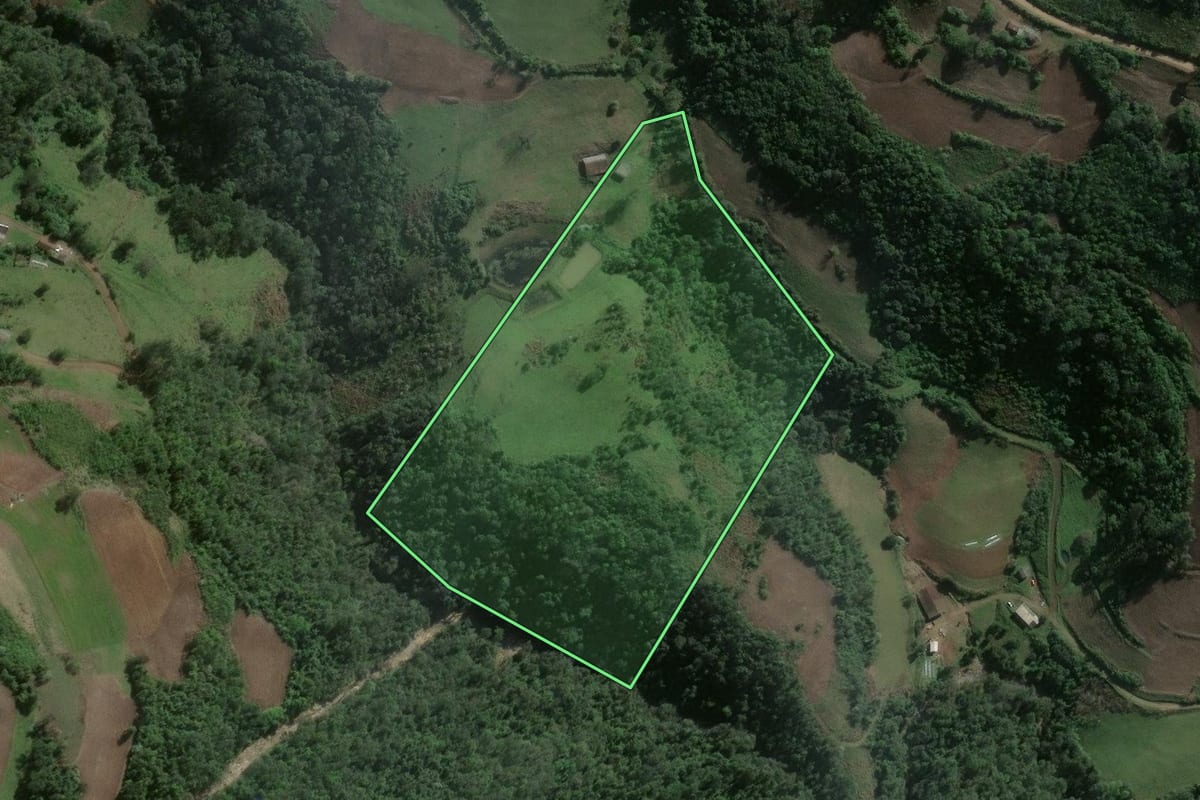 Imagem de satélite do imóvel rural em Pinhal Grande (RS), com o contorno declarado no CAR desenhado por cima.