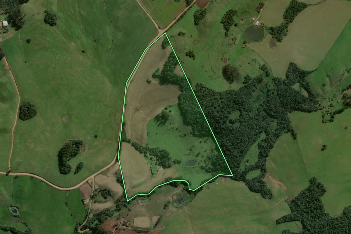 Imagem de satélite do imóvel rural em Pinhal Grande (RS), com o contorno declarado no CAR desenhado por cima.