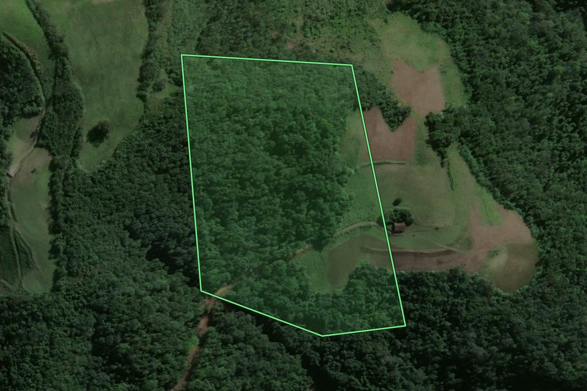 Imagem de satélite do imóvel rural em Pinhal Grande (RS), com o contorno declarado no CAR desenhado por cima.