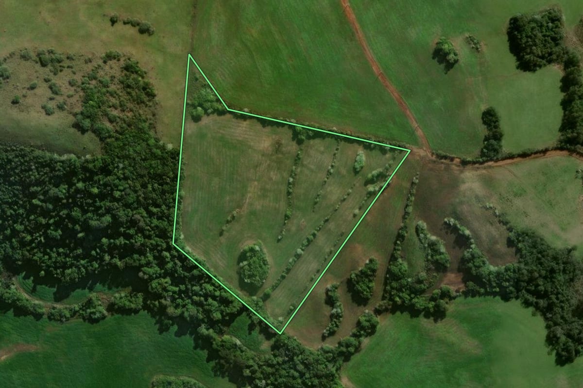 Imagem de satélite do imóvel rural em Pinhal Grande (RS), com o contorno declarado no CAR desenhado por cima.