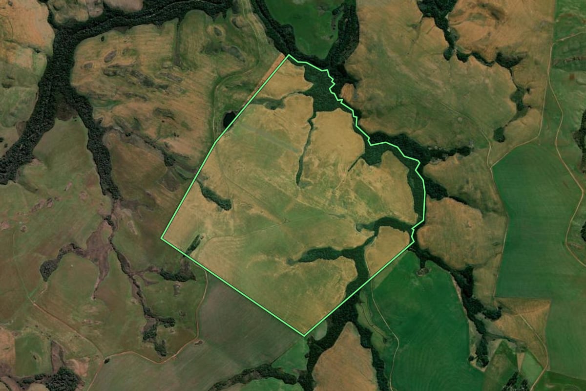 Imagem de satélite do imóvel rural em Pinhal Grande (RS), com o contorno declarado no CAR desenhado por cima.