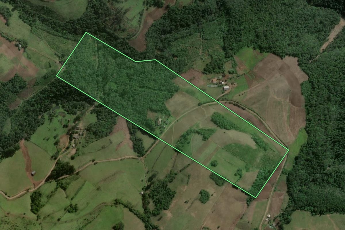 Imagem de satélite do imóvel rural em Pinhal Grande (RS), com o contorno declarado no CAR desenhado por cima.