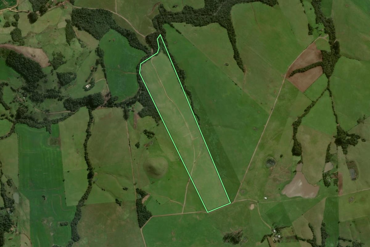 Imagem de satélite do imóvel rural em Pinhal Grande (RS), com o contorno declarado no CAR desenhado por cima.