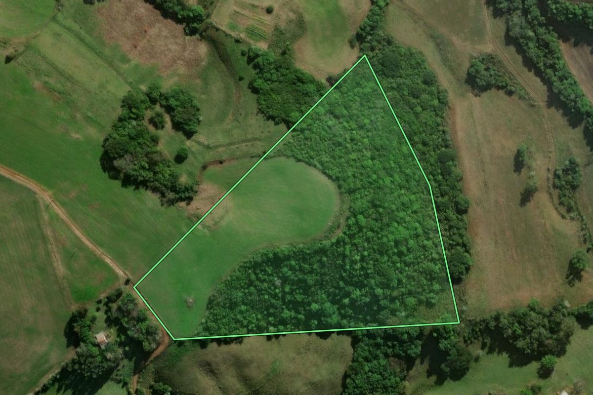 Imagem de satélite do imóvel rural em Pinhal Grande (RS), com o contorno declarado no CAR desenhado por cima.