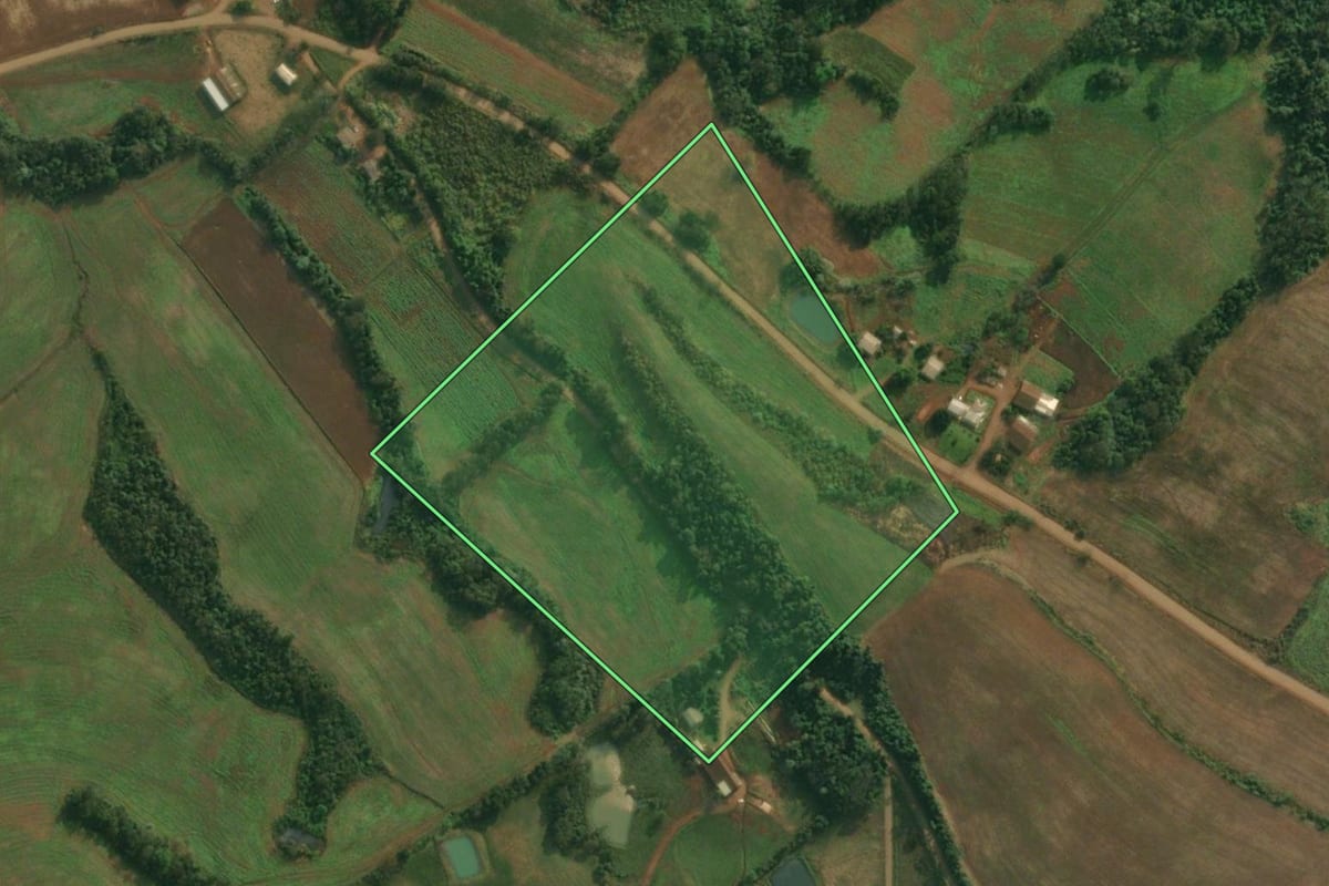 Imagem de satélite do imóvel rural em Pinheirinho do Vale (RS), com o contorno declarado no CAR desenhado por cima.