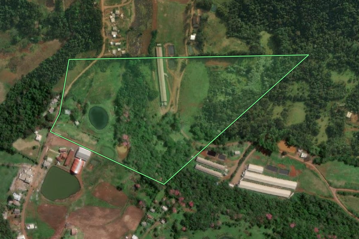 Imagem de satélite do imóvel rural em Pinheirinho do Vale (RS), com o contorno declarado no CAR desenhado por cima.