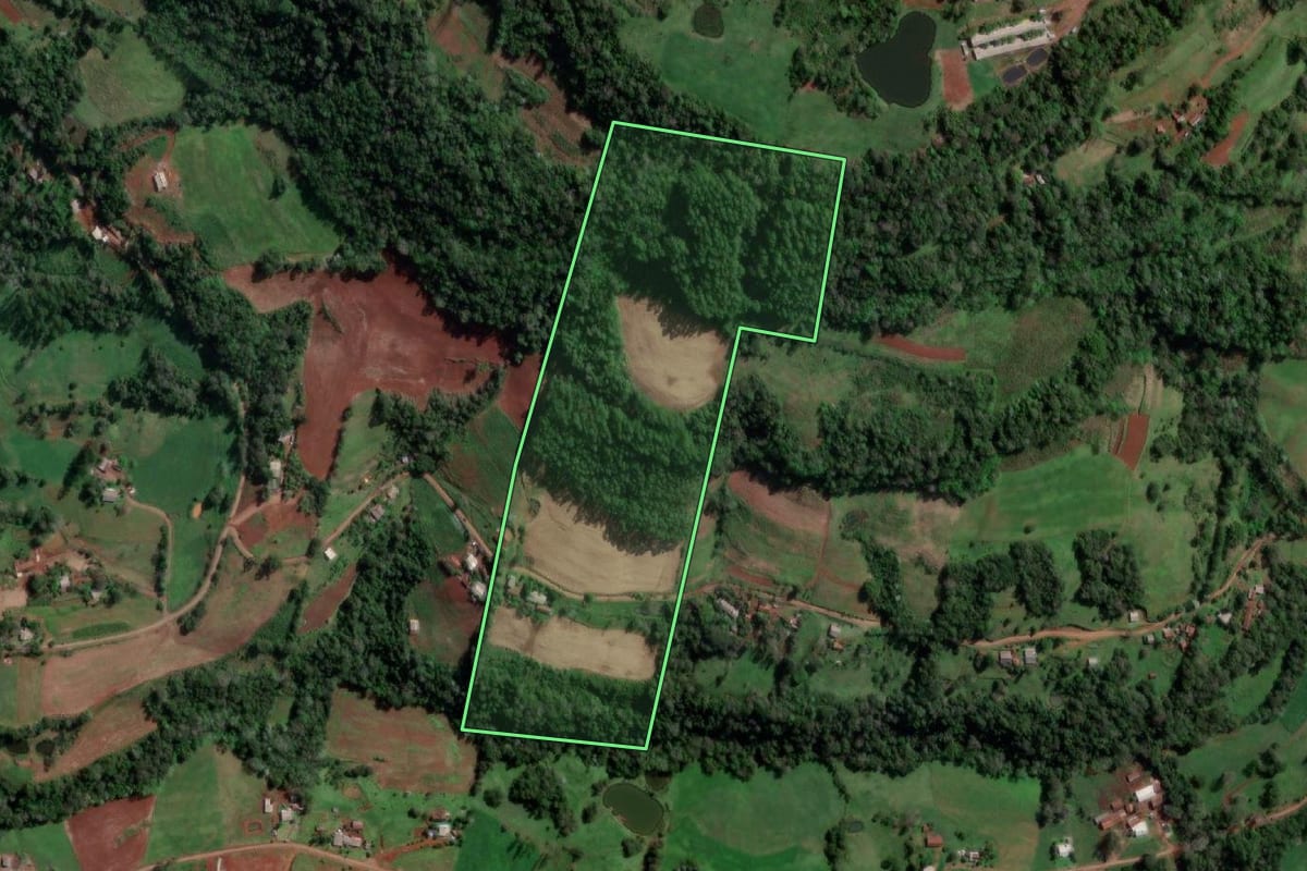 Imagem de satélite do imóvel rural em Pinheirinho do Vale (RS), com o contorno declarado no CAR desenhado por cima.