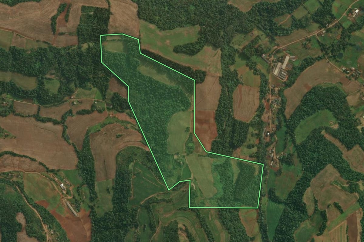 Imagem de satélite do imóvel rural em Pinheirinho do Vale (RS), com o contorno declarado no CAR desenhado por cima.
