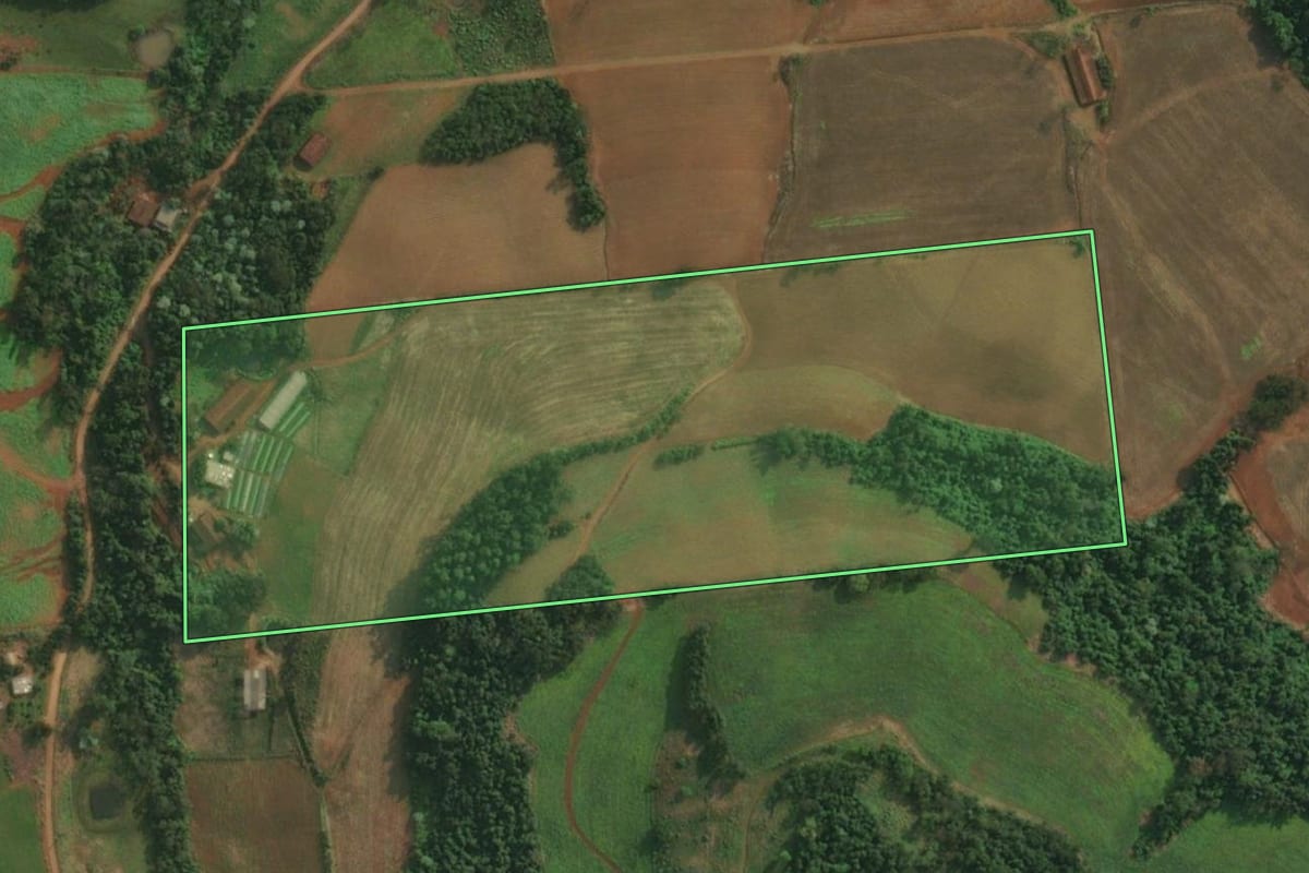 Imagem de satélite do imóvel rural em Pinheirinho do Vale (RS), com o contorno declarado no CAR desenhado por cima.