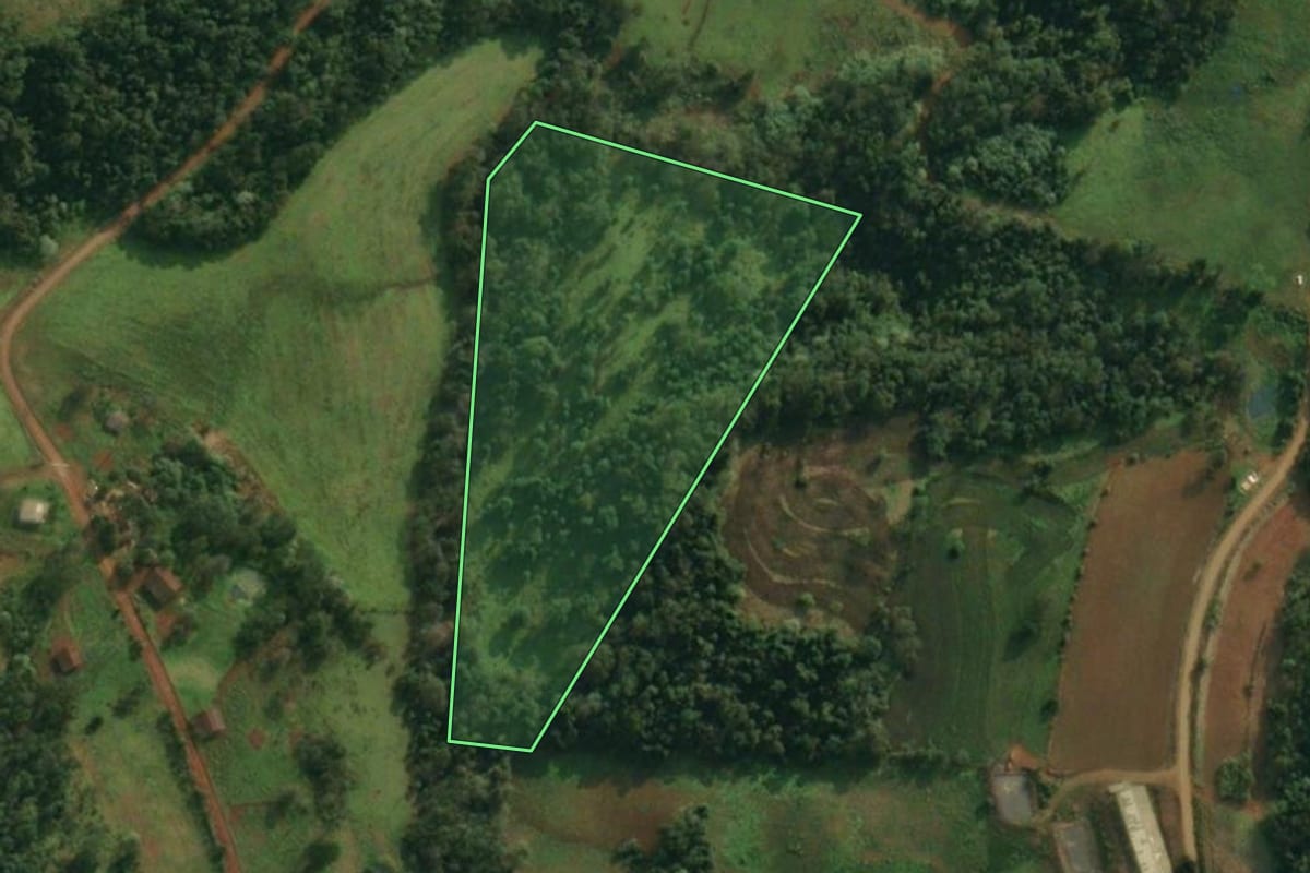 Imagem de satélite do imóvel rural em Pinheirinho do Vale (RS), com o contorno declarado no CAR desenhado por cima.