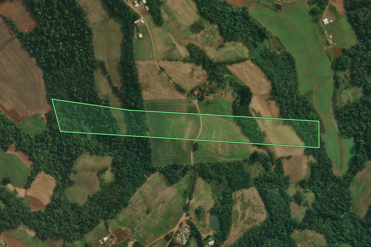 Imagem de satélite do imóvel rural em Pinheirinho do Vale (RS), com o contorno declarado no CAR desenhado por cima.