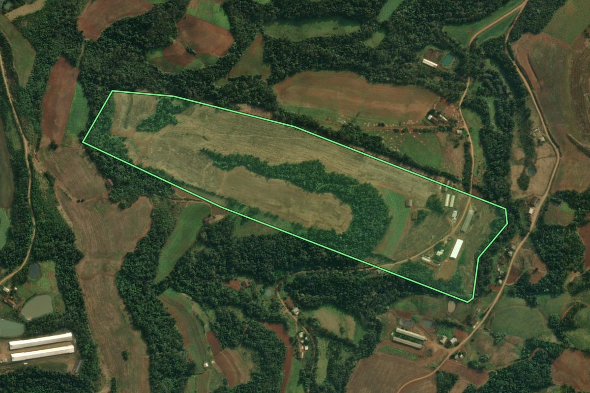 Imagem de satélite do imóvel rural em Pinheirinho do Vale (RS), com o contorno declarado no CAR desenhado por cima.