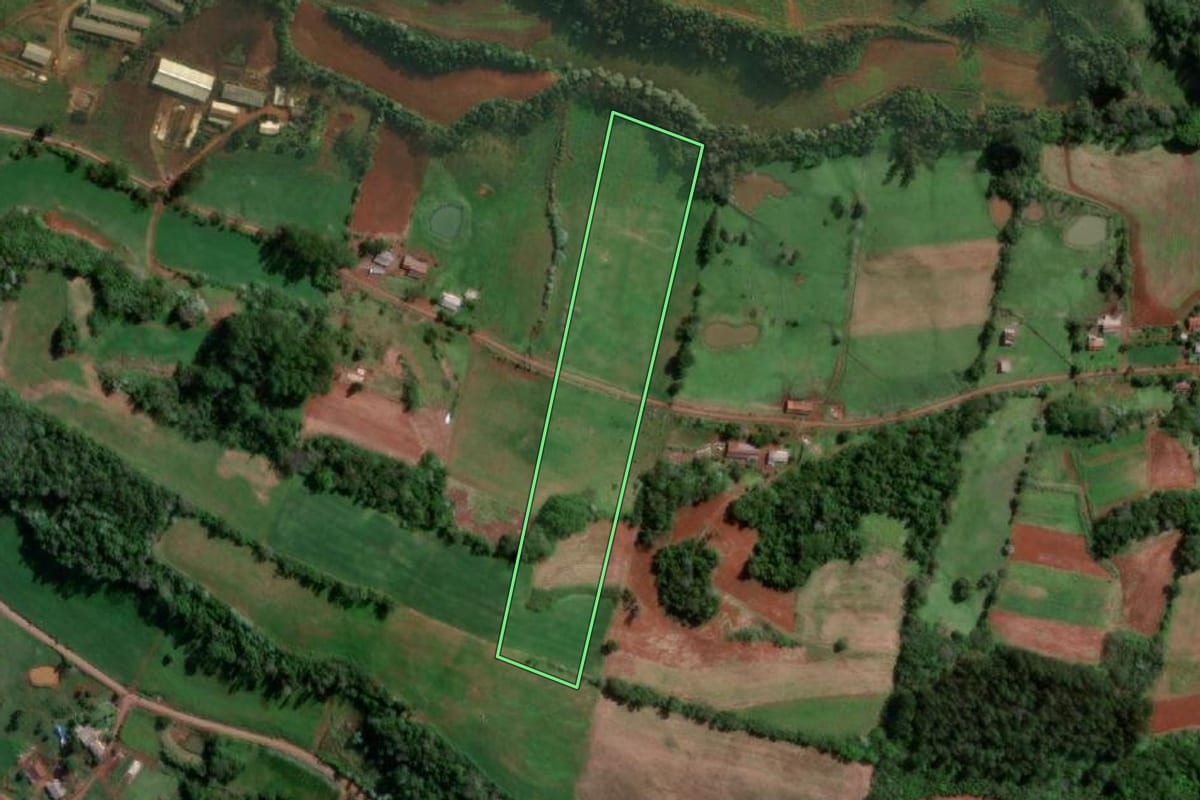 Imagem de satélite do imóvel rural em Pinheirinho do Vale (RS), com o contorno declarado no CAR desenhado por cima.