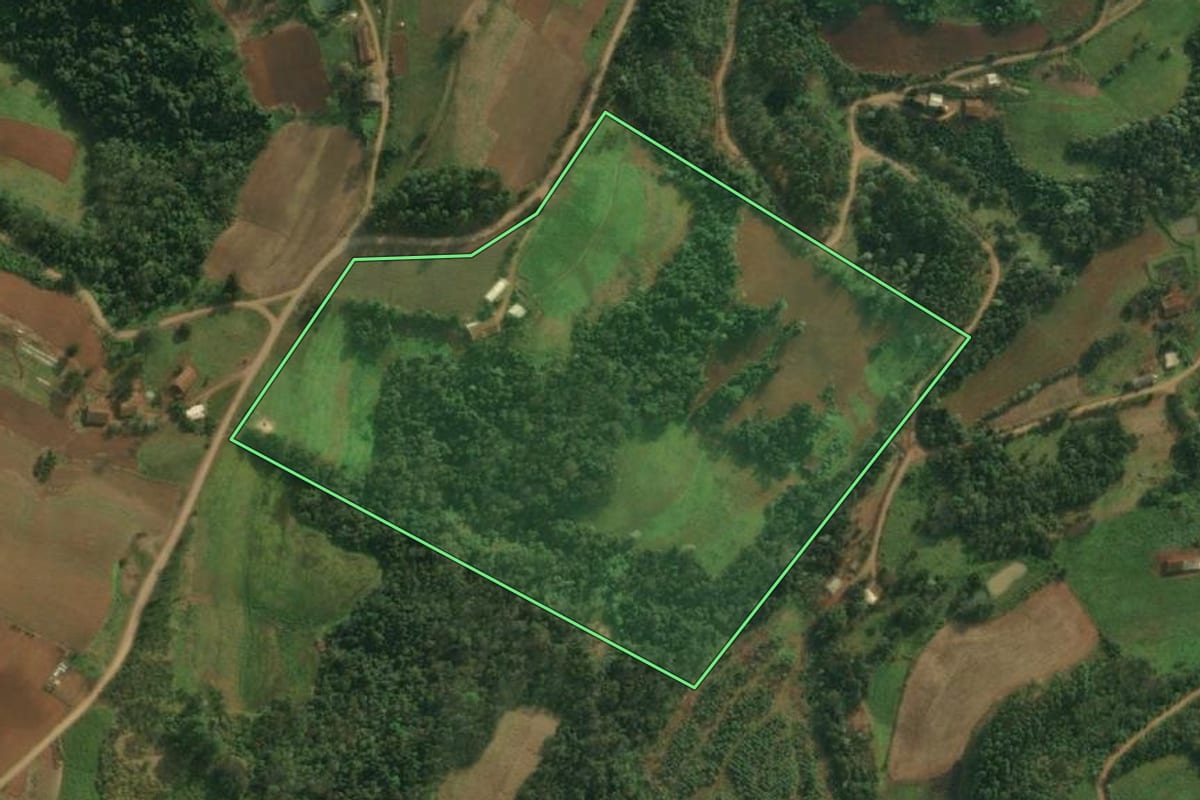 Imagem de satélite do imóvel rural em Pinheirinho do Vale (RS), com o contorno declarado no CAR desenhado por cima.