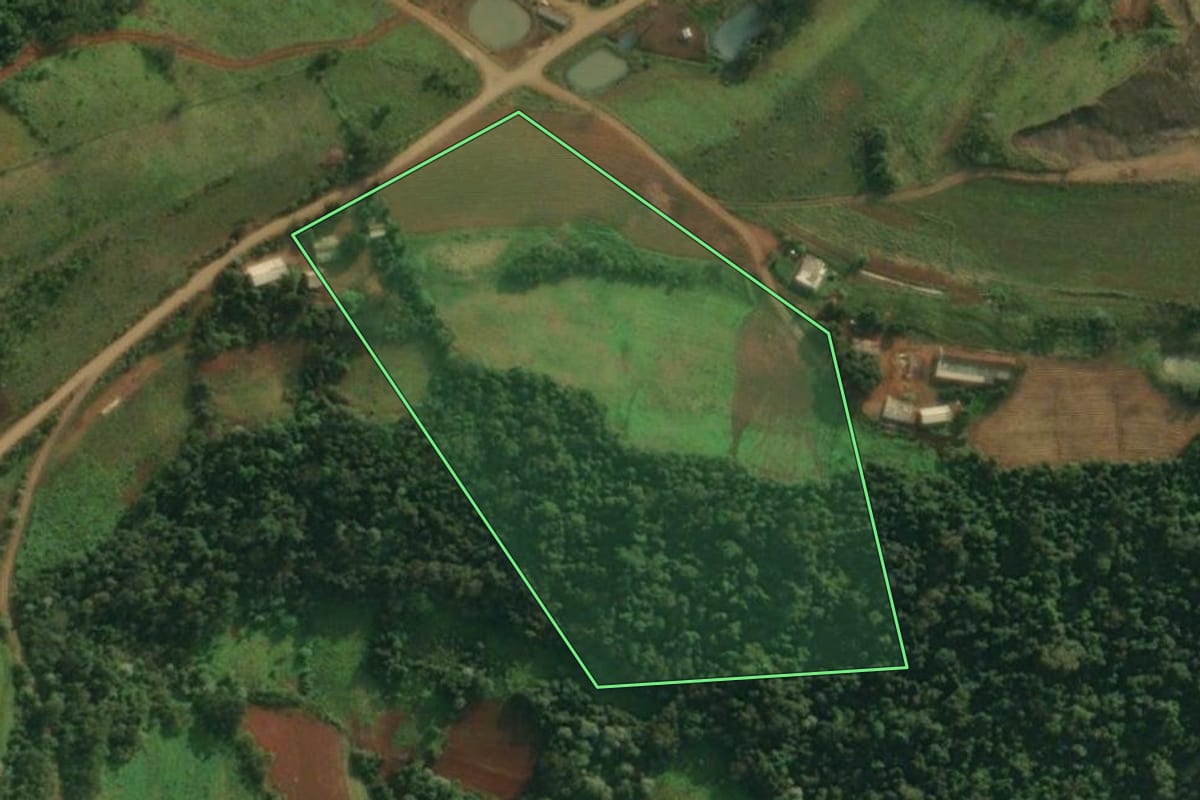 Imagem de satélite do imóvel rural em Pinheirinho do Vale (RS), com o contorno declarado no CAR desenhado por cima.