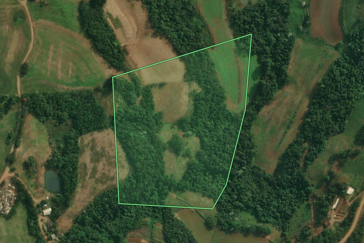 Imagem de satélite do imóvel rural em Pinheirinho do Vale (RS), com o contorno declarado no CAR desenhado por cima.