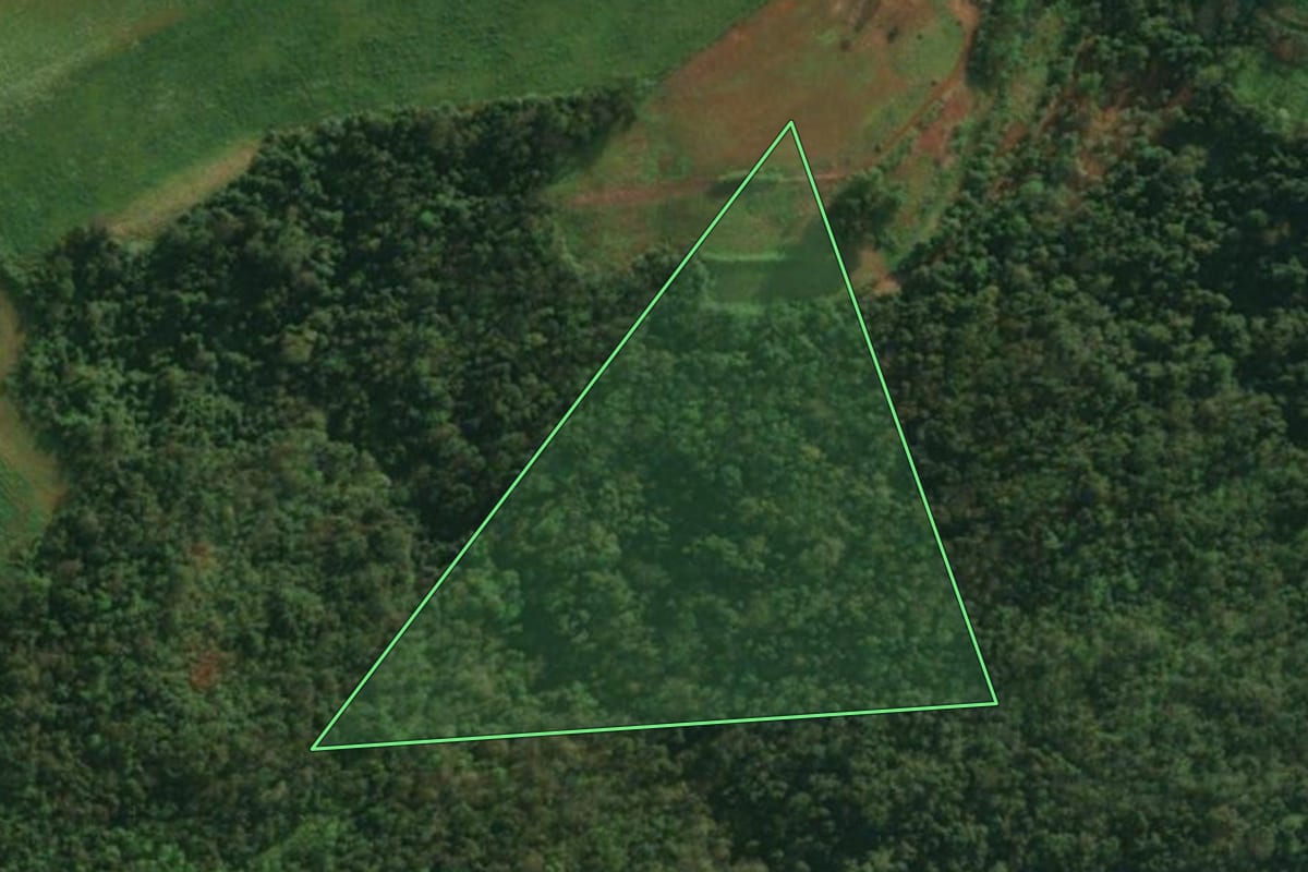 Imagem de satélite do imóvel rural em Pinheirinho do Vale (RS), com o contorno declarado no CAR desenhado por cima.