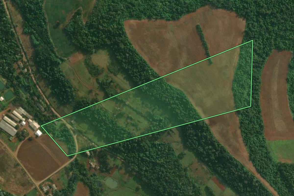 Imagem de satélite do imóvel rural em Pinheirinho do Vale (RS), com o contorno declarado no CAR desenhado por cima.