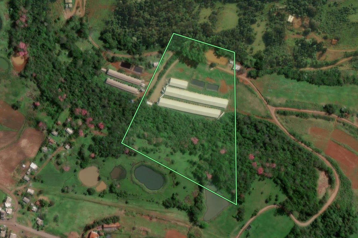 Imagem de satélite do imóvel rural em Pinheirinho do Vale (RS), com o contorno declarado no CAR desenhado por cima.