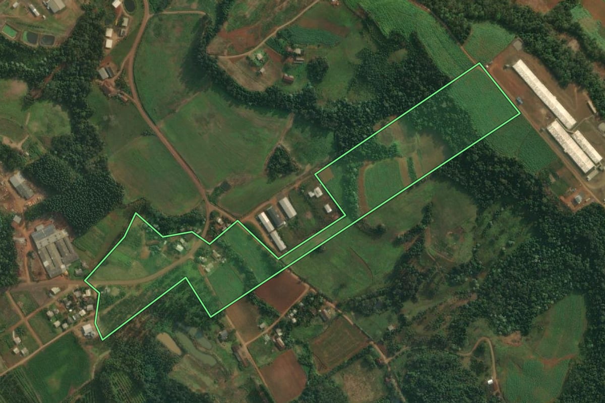 Imagem de satélite do imóvel rural em Pinheirinho do Vale (RS), com o contorno declarado no CAR desenhado por cima.