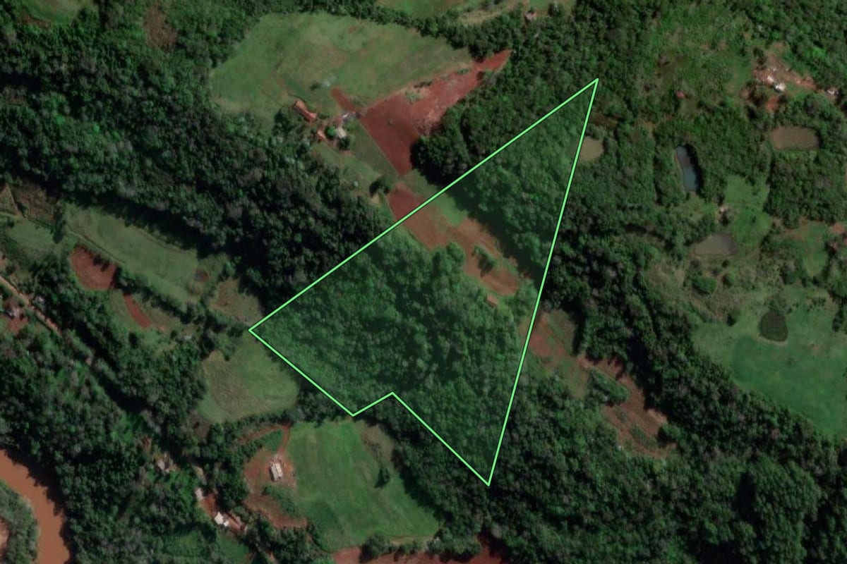 Imagem de satélite do imóvel rural em Pinheirinho do Vale (RS), com o contorno declarado no CAR desenhado por cima.