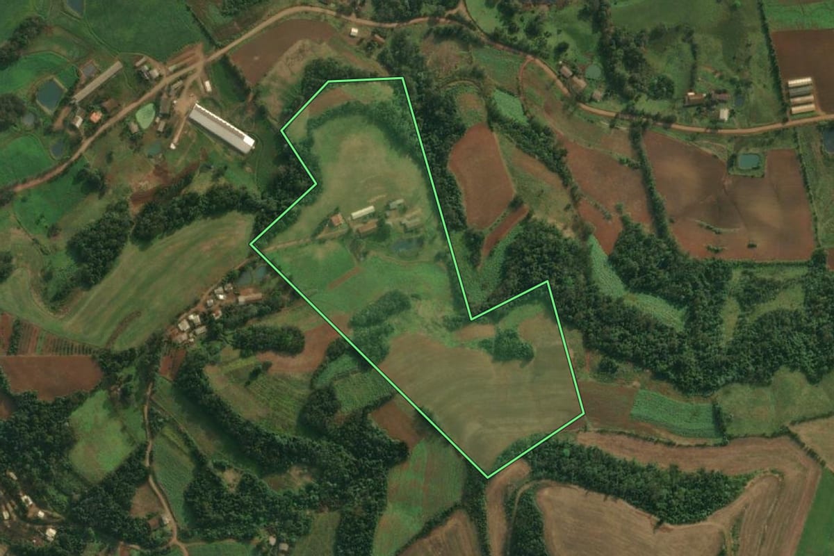 Imagem de satélite do imóvel rural em Pinheirinho do Vale (RS), com o contorno declarado no CAR desenhado por cima.