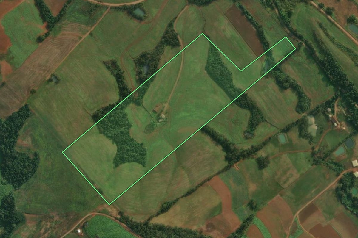 Imagem de satélite do imóvel rural em Pinheirinho do Vale (RS), com o contorno declarado no CAR desenhado por cima.