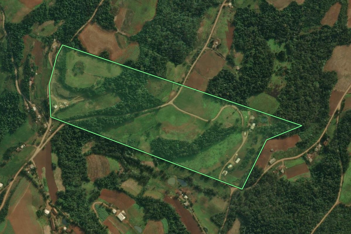 Imagem de satélite do imóvel rural em Pinheirinho do Vale (RS), com o contorno declarado no CAR desenhado por cima.
