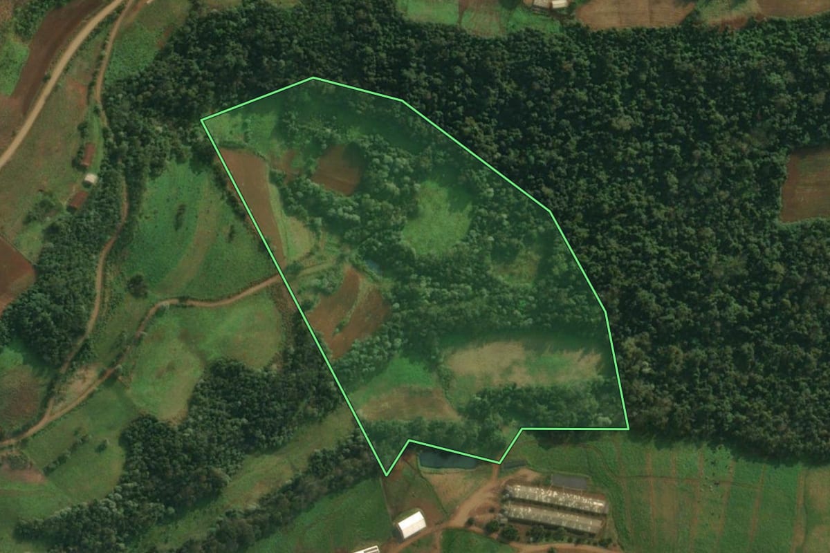 Imagem de satélite do imóvel rural em Pinheirinho do Vale (RS), com o contorno declarado no CAR desenhado por cima.