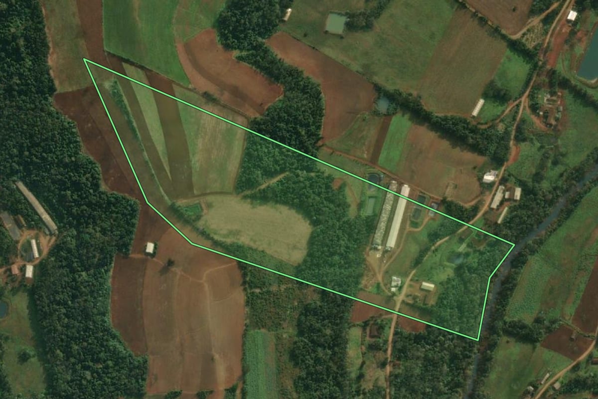 Imagem de satélite do imóvel rural em Pinheirinho do Vale (RS), com o contorno declarado no CAR desenhado por cima.