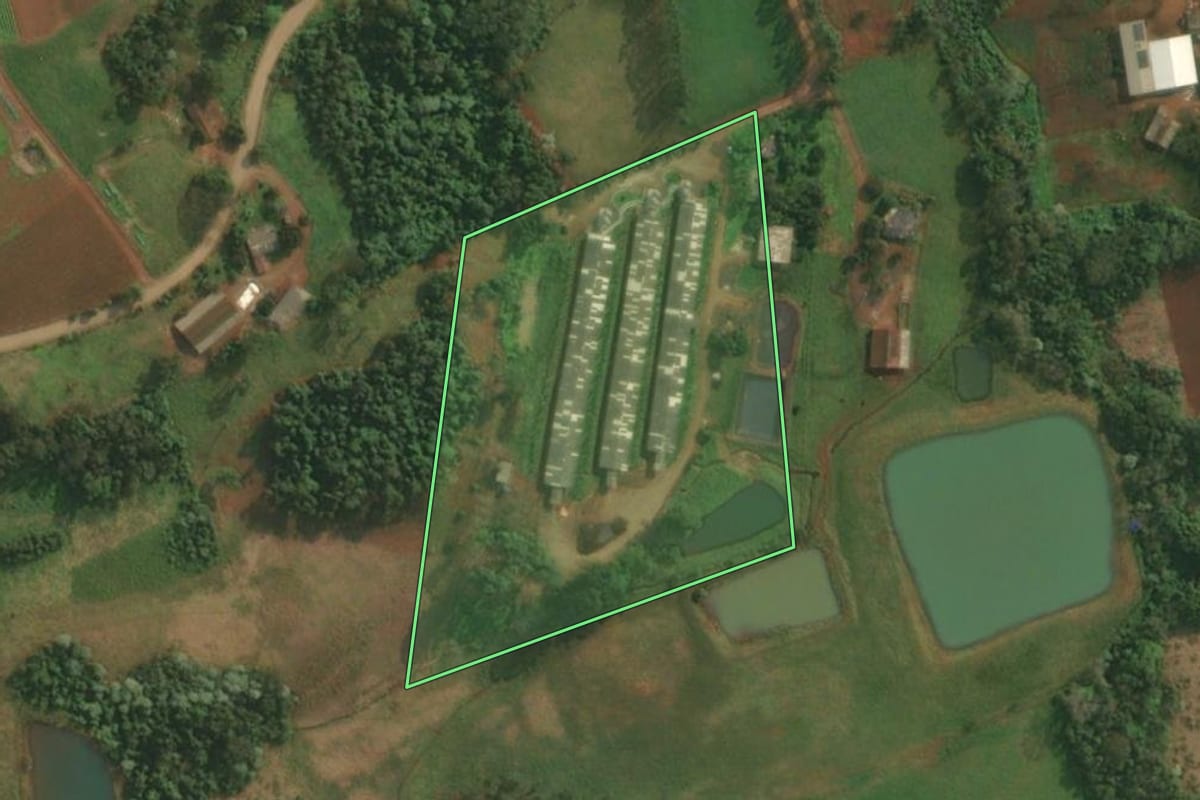 Imagem de satélite do imóvel rural em Pinheirinho do Vale (RS), com o contorno declarado no CAR desenhado por cima.
