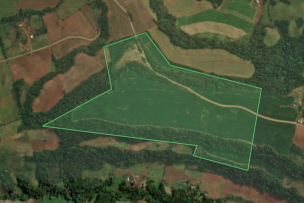 Imagem de satélite do imóvel rural em Pinheirinho do Vale (RS), com o contorno declarado no CAR desenhado por cima.