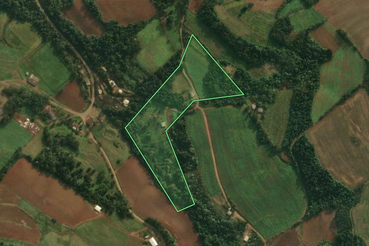 Imagem de satélite do imóvel rural em Pinheirinho do Vale (RS), com o contorno declarado no CAR desenhado por cima.