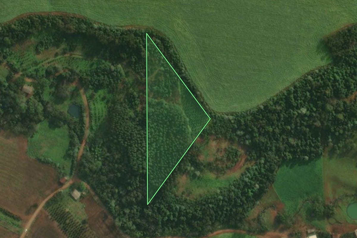 Imagem de satélite do imóvel rural em Pinheirinho do Vale (RS), com o contorno declarado no CAR desenhado por cima.