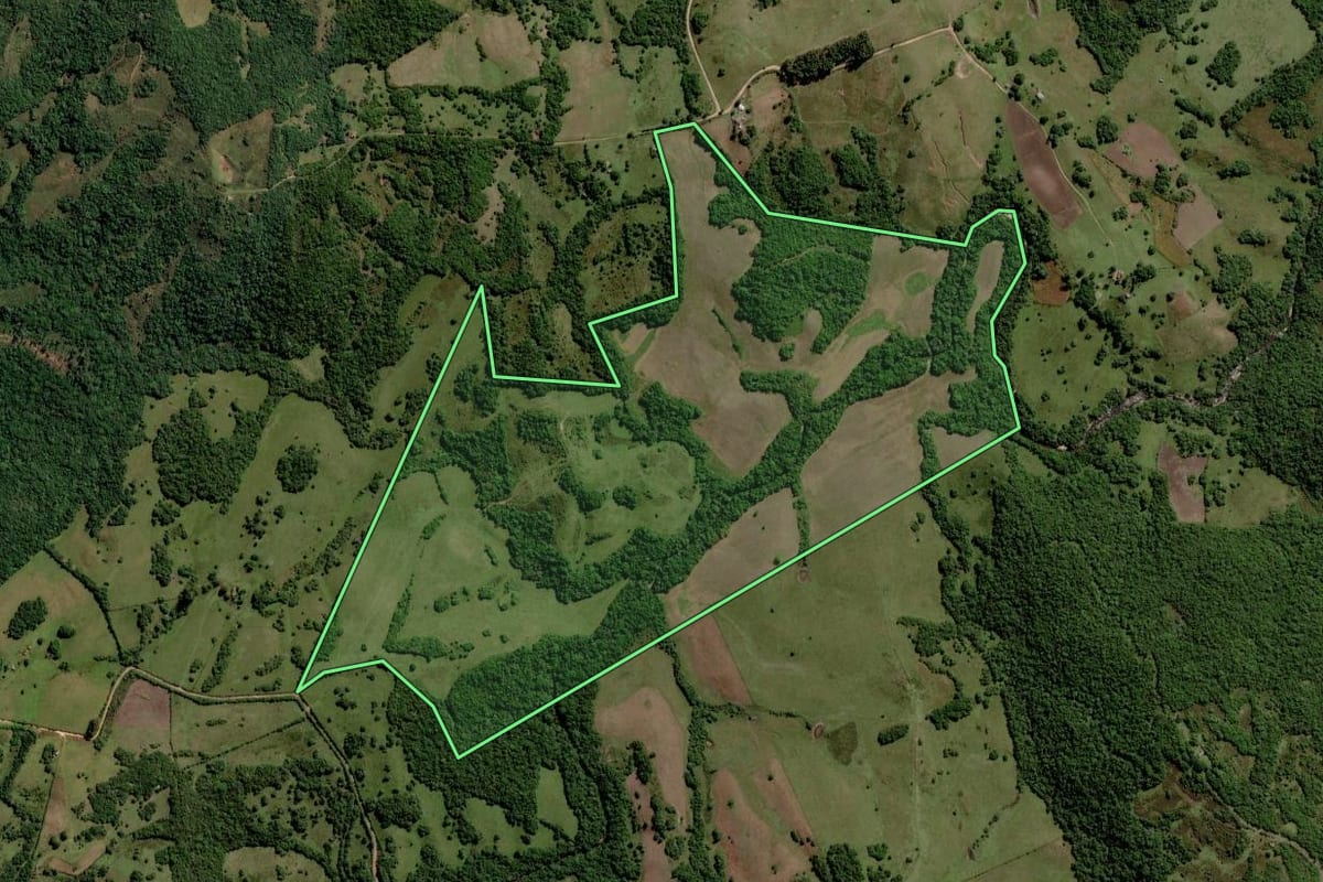Imagem de satélite do imóvel rural em Pinheiro Machado (RS), com o contorno declarado no CAR desenhado por cima.