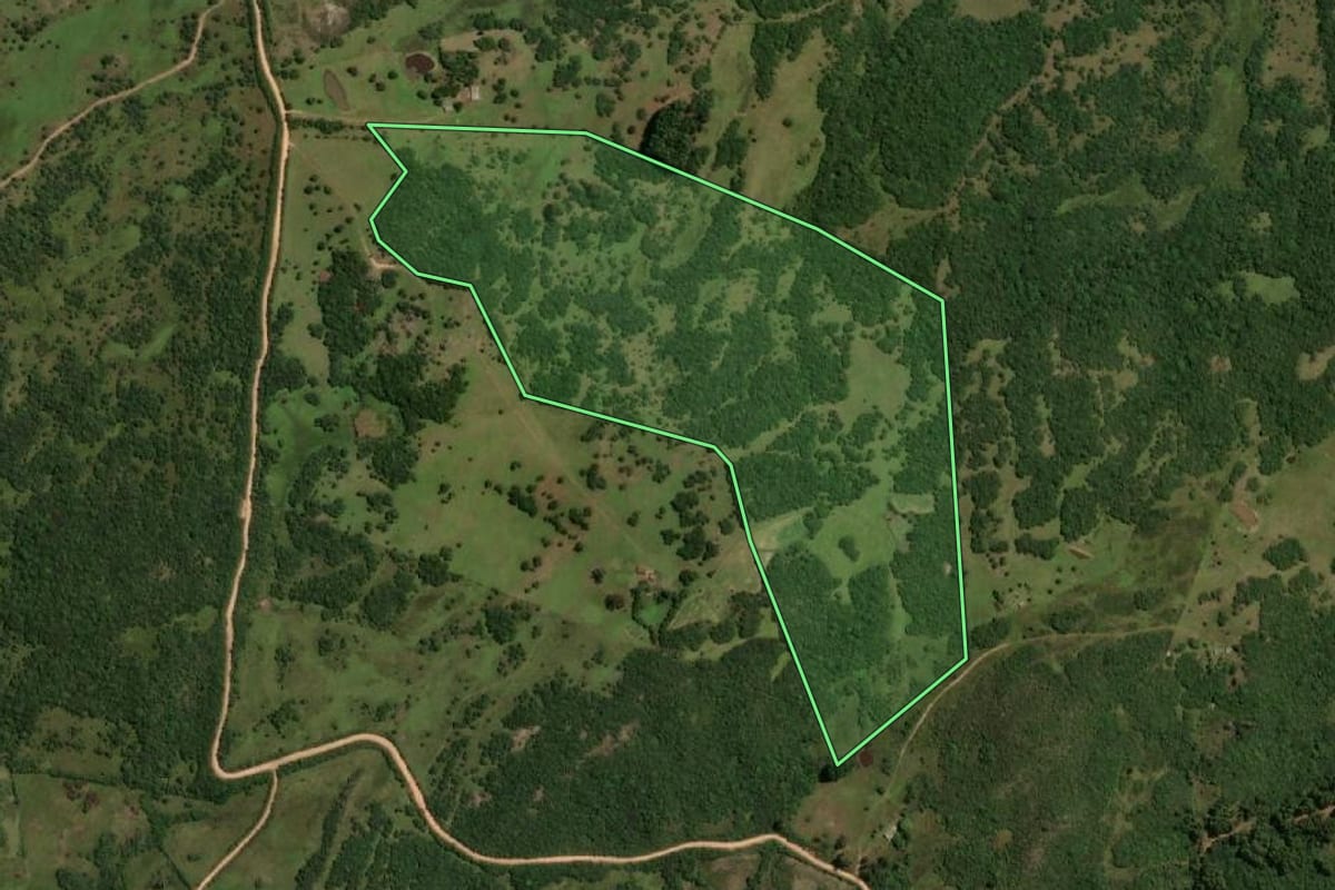 Imagem de satélite do imóvel rural em Pinheiro Machado (RS), com o contorno declarado no CAR desenhado por cima.