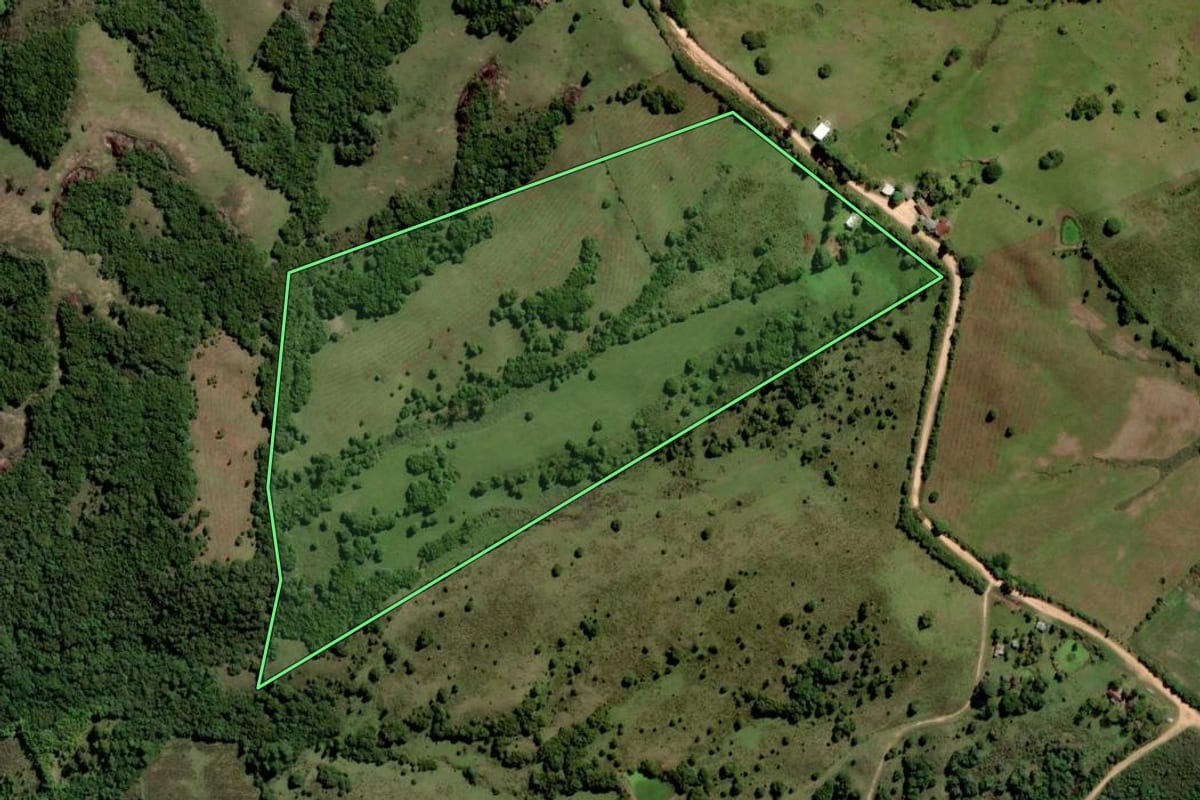Imagem de satélite do imóvel rural em Pinheiro Machado (RS), com o contorno declarado no CAR desenhado por cima.